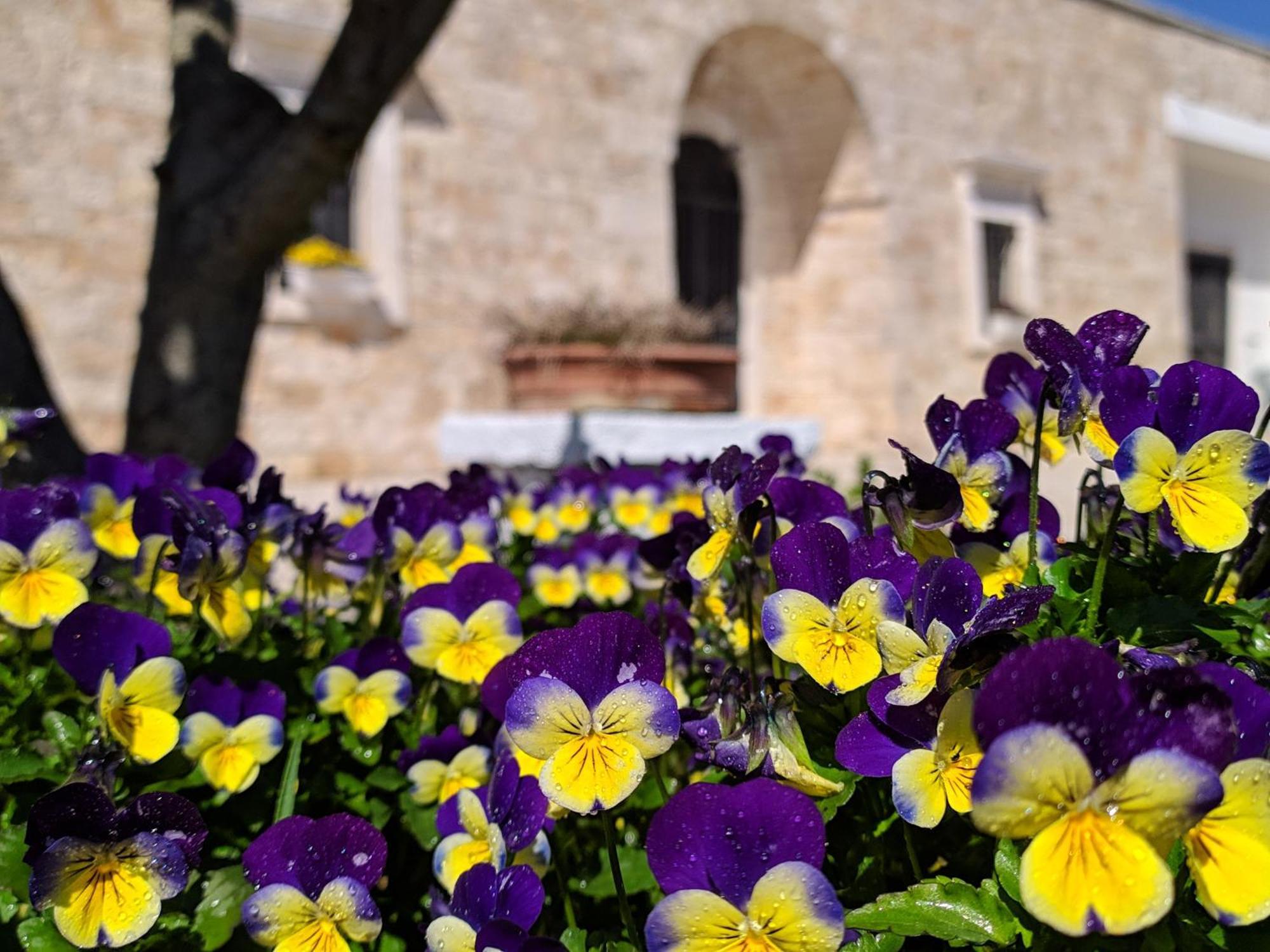 Aparthotel Il Sogno Alberobello Zewnętrze zdjęcie